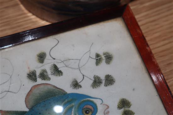 Five Chinese pith paintings, four of birds and two of fish